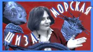 СТРАННЫЕ И ИНТЕРЕСНЫЕ морские обитатели на грани ШИЗЫ