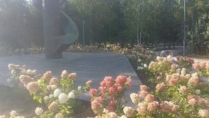 Памятник космонавту Волкова