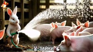 Зая и Зайчата 🐰🐇🐇 Веселые истории из жизни семейства зайчиков (57)