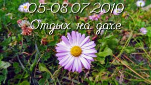 05-08.07.2019 Отдых на даче