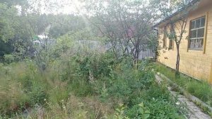 34-2018 ФИКС-ПРАЙС КЛАССНЫЕ НОВИНКИ _ СПИЛИЛА ЯБЛОНЮ _ ВОПРОС ПРО ОРХИДЕЮ _Елена Перо