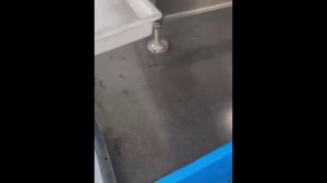 фотосепаратор Dream Plus