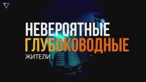 ▽ Самые странные глубоководные жители