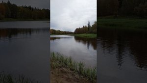 1000025607.mp4