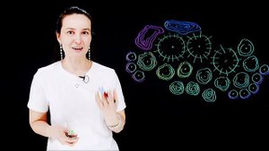 Гильдия влажного луга. Пермакультура, что посадить во влажном месте.