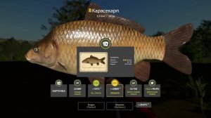 ⭐Трофейный Карасекарп на оз.Медное⭐Русская Рыбалка 4.