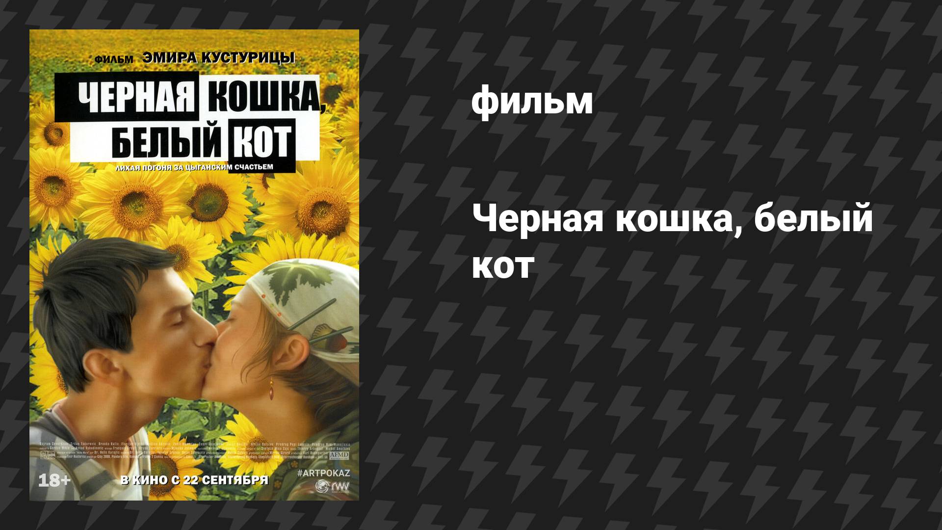 Чёрная кошка, белый кот (фильм, 1998) смотреть онлайн