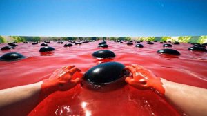 In Which Ocean Would You Swim? 🌊