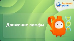 Движение лимфы. Видеоурок по биологии 8 класс