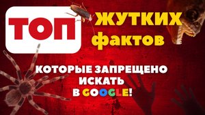 ТОП ЖУТКИХ ФАКТОВ, КОТОРЫЕ ЗАПРЕЩЕНО ИСКАТЬ В GOOGLE!