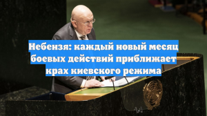 Небензя: каждый новый месяц боевых действий приближает крах киевского режима