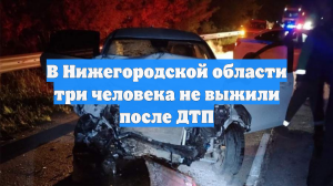В Нижегородской области три человека не выжили после ДТП