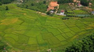 Исцеляющие звуки природы для гармонии с собой и умиротворения разума