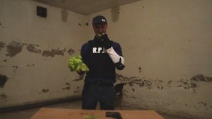 Типичная лечебная трава в Resident Evil №1 (ПАРОДИЯ)