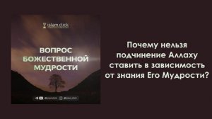 Почему нельзя подчинение Аллаху ставить в зависимость от знания Его Мудрости? Абу Яхья Крымский