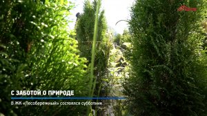 КРТВ. С заботой о природе