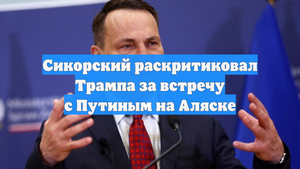 Сикорский раскритиковал Трампа за встречу с Путиным на Аляске