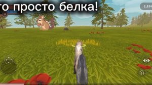 1000001994.mp4
