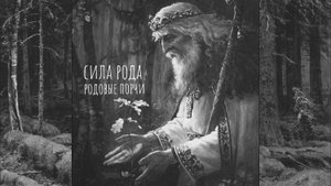 Чистка родовой болезни и откуда эти болезни.отливка