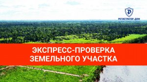 Экспресс-проверка земельного участка перед покупкой