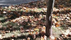 Москва, сентябрь, сейчас.