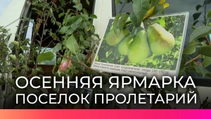 Сезон осенних ярмарок открылся в Новгородской области