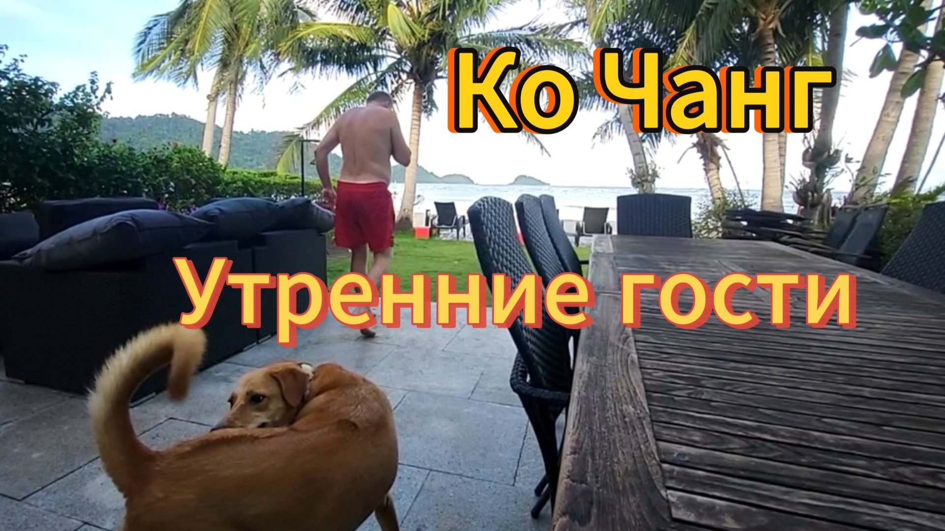 17 серия. Утренние гости. Завтрак с видом на море. Вилла Utalay, Siam Royal View. Ко Чанг. Таиланд. смотреть онлайн