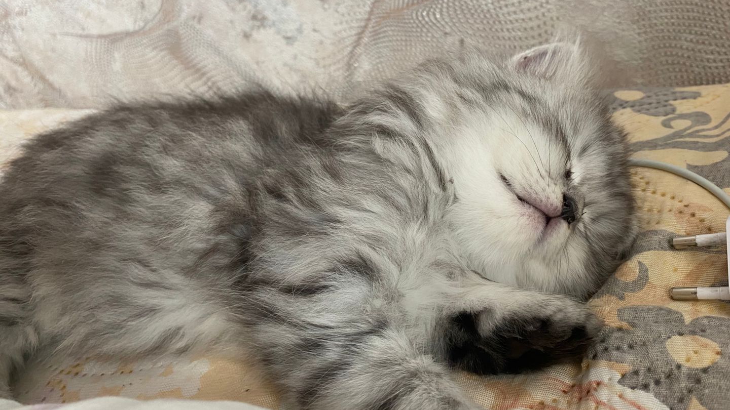 мой день (влог)🤍🤗 смотреть онлайн