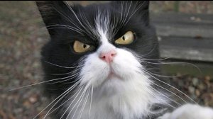 матрёшка RP часть 1