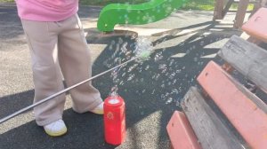 праздник двора