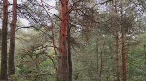 Бедным быть страшно! Причины бедности. Что делать?