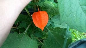 13 сентября 2025. Тринадцатый день сентября.