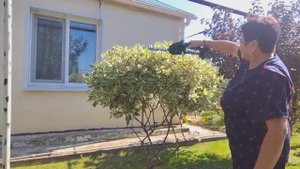 13.09.2025г./ 2 часть.!/ КАК Я ДАВНО ХОТЕЛА  И  ПРИОБРЕЛА.
ОБЫЧНАЯ ЖИЗНЬ В СЕЛЕ