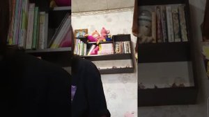 Реборн Илона