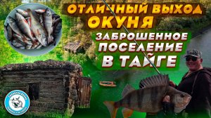 НА ТАЁЖНОЙ РЕЧКЕ В ЯКУТИИ/ОКУНЬ КАК ИЗ ПУЛЕМЁТА