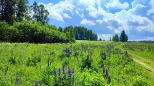 Моим стихам... (Suno AI)