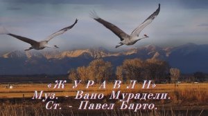 ГЕННАДИЙ КАМЕННЫЙ - ЖУРАВЛИ - Монтаж Татьяны Ситниковой