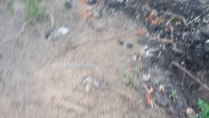 Фея - смелая разведчица 🫢😀