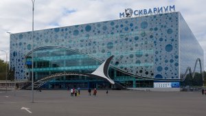Москвариум 2023 год.
