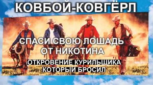 мотивация бросить курить, откровение курильщика более 10 лет, который спас свою лошадь от никотина