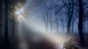 Сквозь тьму я найду крылья свои