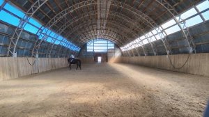 Оксана Новикова и Дольче Вита, онлайн тренировка, работа над полупируэтом.