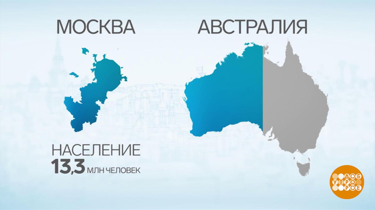 Москва в цифрах и фактах. Доброе утро. Суббота. Фрагмент выпуска от 13.09.2025