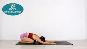 ЙОГА ДЛЯ НАЧИНАЮЩИХ 40мин | День 5 | 
Уровень А - Йога Елена Малова