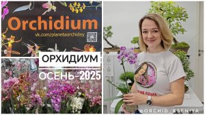 Выставка Орхидиум - сентябрь 2025 | Много орхидей, суккулентов, лиственных |Грунты, препараты |Обзор