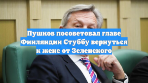 Пушков посоветовал главе Финляндии Стуббу вернуться к жене от Зеленского