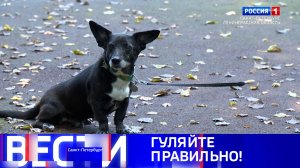 Вести Санкт-Петербург. Выпуск 14.30 от 13.09.2025