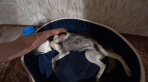 Рита-Бася 5-й день. Утренний релакс. 21.09.2025