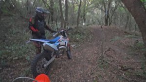 #Endurov61 13.09.2025 поездка в Мишкино, Лесные приключения часть 4