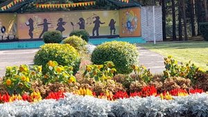 20250912_153259_001 Первый день в санатории. Цветы и газоны